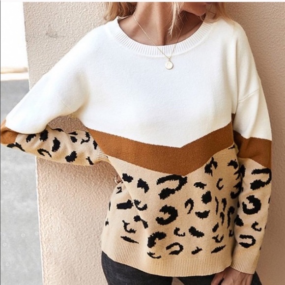Leopard Print Crew Neck Sweater - Picture 7 of 7